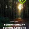 Senior Sunday School Lessons Yr 1: ePub (15+ Years) eBook