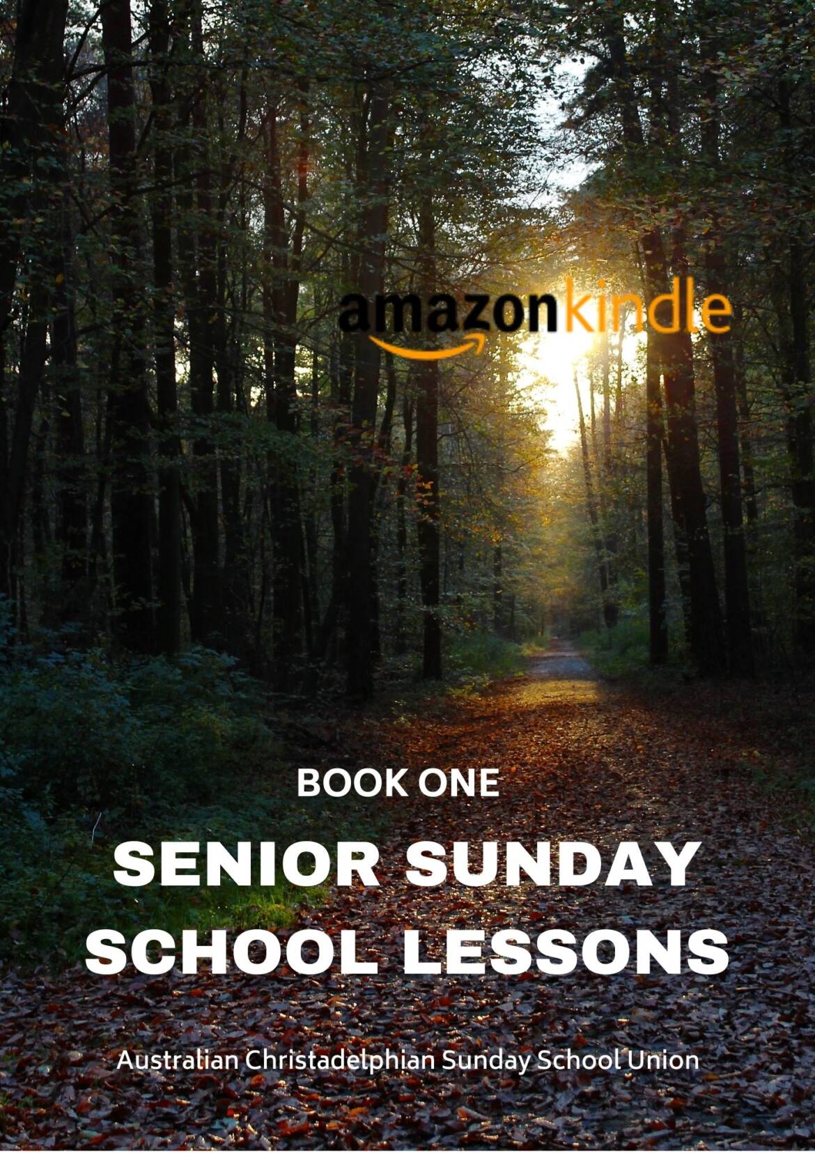 KINDLE-Cover-Senior-Sunday-School-Lessons-Year-One.jpg
