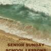 Senior Sunday School Lessons Yr 2: Kindle (15+ Years) eBook